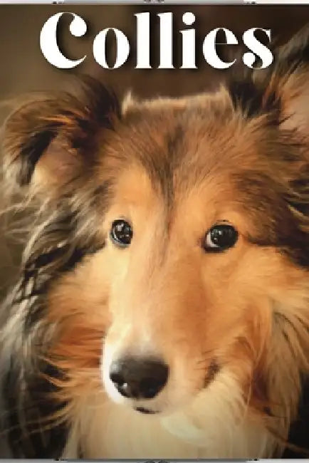 Collies: Dog breed overview and guide by Nina Pustova