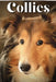 Collies: Dog breed overview and guide by Nina Pustova
