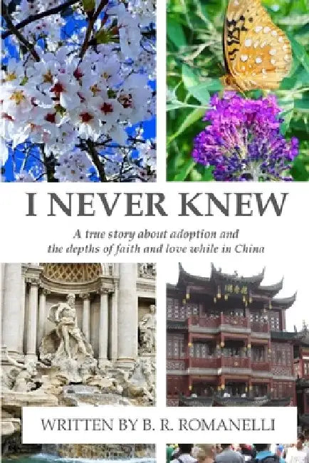I Never Knew by B. R. Romanelli