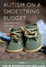 Autism on a Shoestring Budget: [Early] Intervention Made Easier by Ymkje Wideman-Van Der Laan