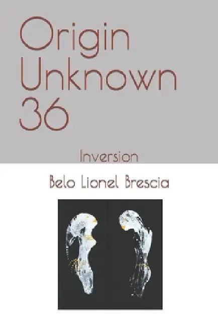 Origin Unknown 36: Inversion by Belo Lionel Brescia