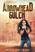 Arrowhead Gulch by Mike Nelson