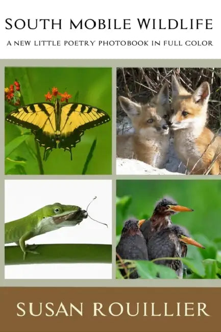 South Mobile Wildlife: A Little Poetry Photobook in Full Color by Susan Hope Rouillier