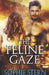 The Feline Gaze by Sophie Stern