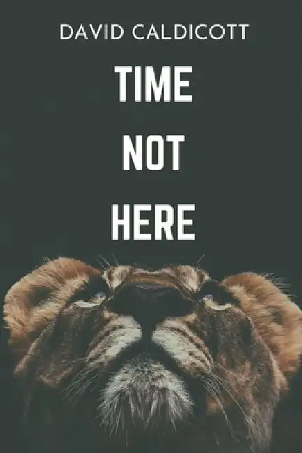 Time Not Here by David Caldicott