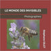 Le Monde Des Invisibles: Photographies by Stéphane Gilet
