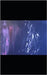 Mélopées lointaines: (nouvelles) by Madesclaire, Samuel