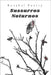 Sussurros Noturnos by Poetry, Rosabel