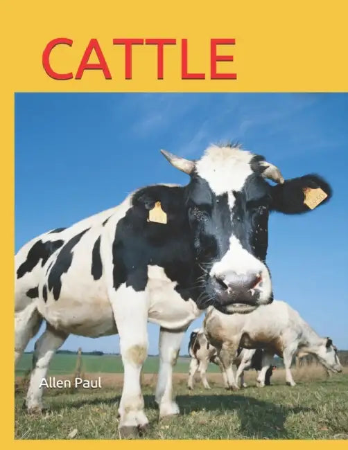 Cattle by Allen Paul
