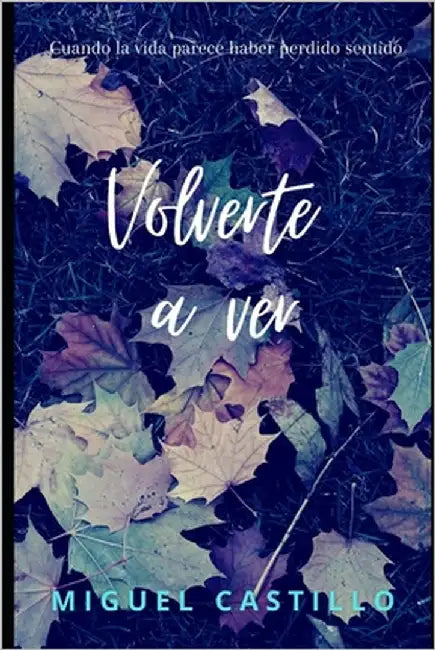 Volverte a ver by Castillo Torres, Miguel