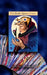 The Bello Spirito Tarot by Robyn S. Bellospirito