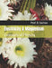Electricity & Magnetism: Concepts of Physics by Prof D. Sachan