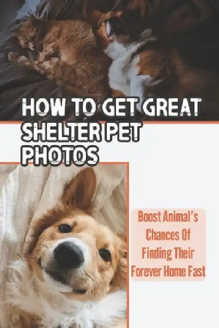 How To Get Great Shelter Pet Photos: Boost Animal's Chances Of Finding Their Forever Home Fast: Shelter Pet Photography by Shayne Moznett