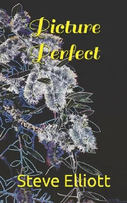 Picture Perfect by Steve Elliott