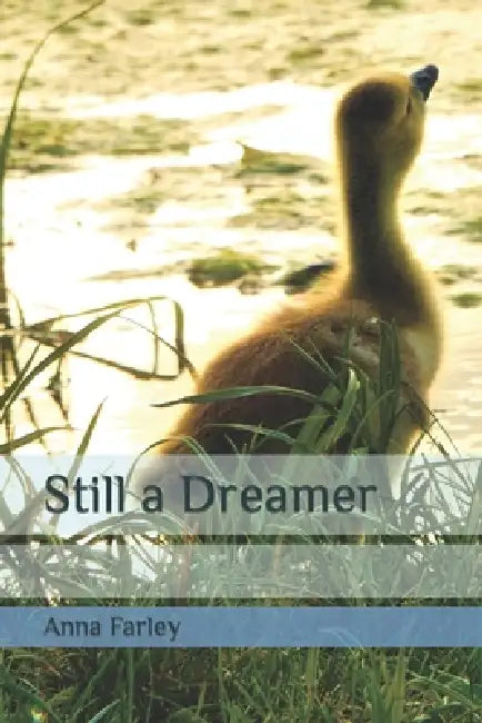Still a Dreamer by Anna Farley