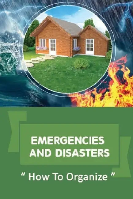 Emergencies And Disasters: How To Organize: Better Prepared For The Smaller Emergencies by Quinn Rosillo
