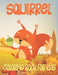 Squirrel Coloring Book For Kids: Amazing Squirrel Coloring Book For Kids & Toddlers by Rr Publications