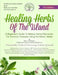 Healing Herbs Of The Island: A Beginners Guide To Making Herbal Remedies For Common Illnesses Using Caribbean Herbs by Martin R. Gabriel
