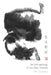 An Archaeology of the Qiao Vessels by Heiner Fruehauf
