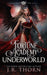 Fortune Academy Underworld: Book Five by J. R. Thorn