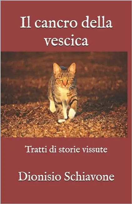 Il cancro della vescica: Tratti di storie vissute by Schiavone, Dionisio