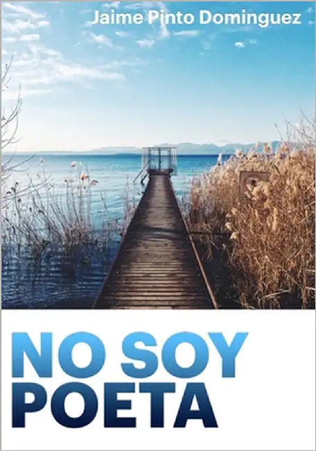 No soy poeta by Zapata, Alejandro