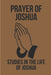 Prayer Of Joshua: Studies In The Life Of Joshua: God'S Promises In Christ Jesus by Darryl Tindel