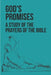 God's Promises: A Study Of The Prayers Of The Bible: Prayerful Study by Rico Bockenstedt