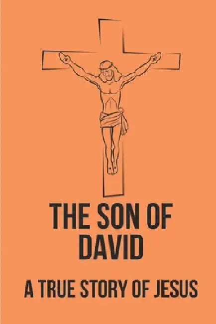The Son Of David: A True Story Of Jesus: David'S Name: The Name Of Jesus by Jona Schanz