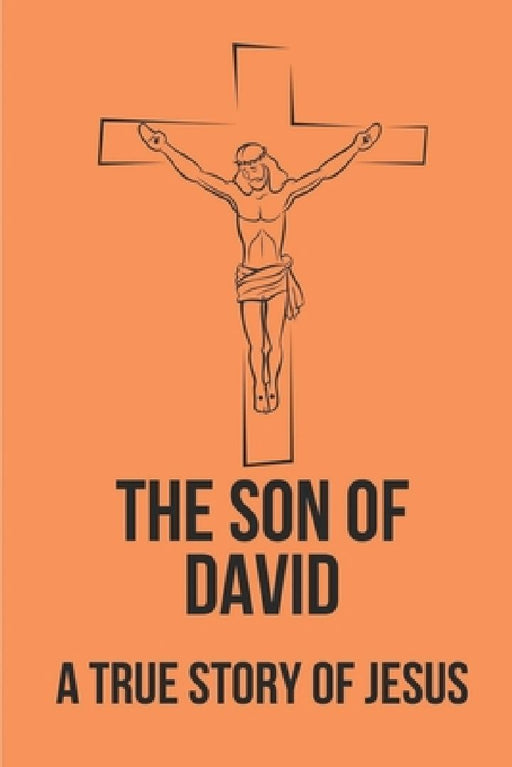The Son Of David: A True Story Of Jesus: David'S Name: The Name Of Jesus by Jona Schanz