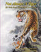 Not Always A Tiger: If I Only Knew Then What I Know Now by Jack Coleman