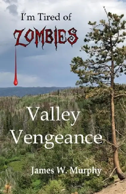 Valley Vengeance by James W. Murphy