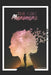 The Girl Phenomena by Rithin Chava