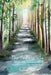 The Endless Hike by Rachael Hohf