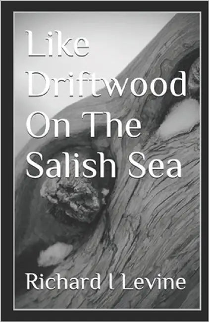 Like Driftwood On The Salish Sea: a small town romance by Levine, Richard I.