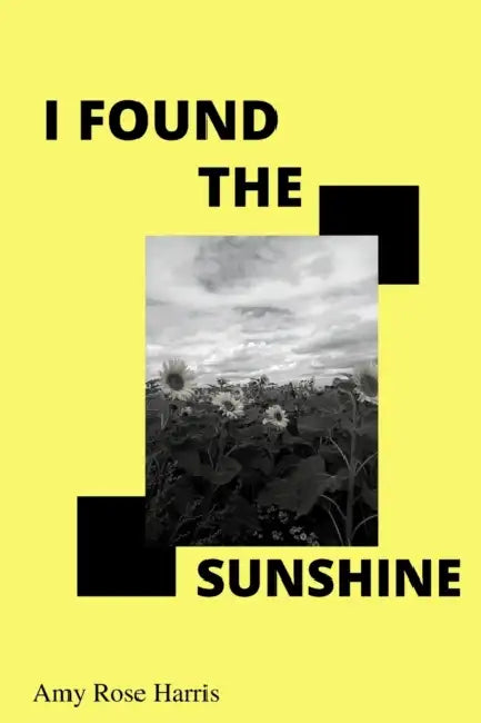 I Found The Sunshine by Will Hillenbrand