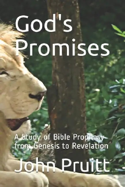 God's Promises: A Study of Bible Prophesy from Genesis to Revelation by John Pruitt