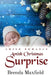 Amish Christmas Surprise by Brenda Maxfield
