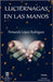 Luciérnagas en las manos: Haiku by Lopez Rodriguez, Fernando