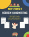 Hebrew Handwriting Writing Alphabet: Master the Hebrew Alphabet Tracing and Practice -Step By Step Workbook - Learn How To Write Hebrew LettersA Fun B by Aaron Ariel