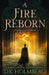 A Fire Reborn by D. K. Holmberg