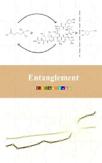 Entanglement by C. T. Au-Yang