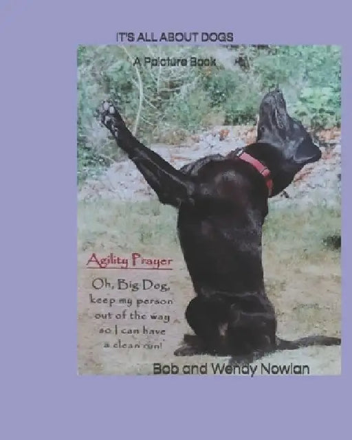 It's All about Dogs: A Picture Book by Wendy Nowlan Ed D.