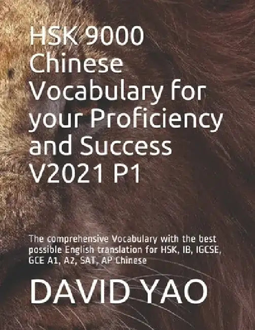 HSK 9000 Chinese Vocabulary for your Proficiency and Success V2021 P1: The comprehensive Vocabulary with the best possible English translation for HSK by David Yao