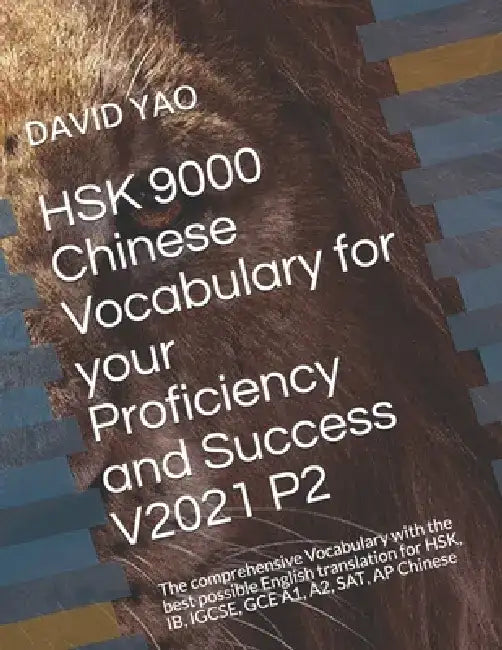 HSK 9000 Chinese Vocabulary for your Proficiency and Success V2021 P2: The comprehensive Vocabulary with the best possible English translation for HSK by David Yao