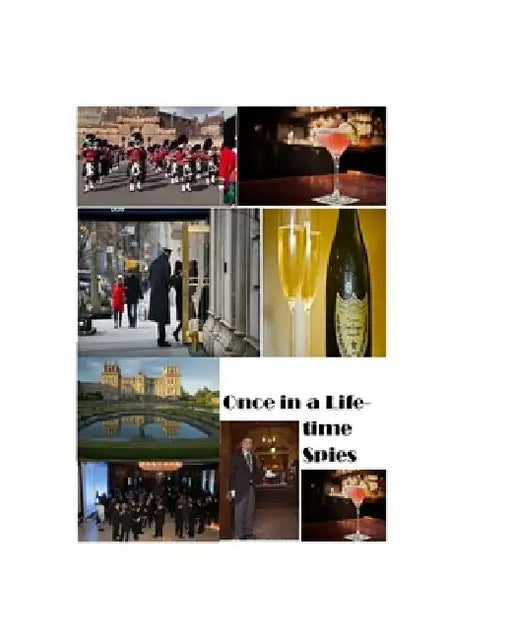 Once in a Lifetime Spies: Spy World the beginning by Donna J. Burch