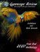 Gyroscope Review 2020 Anthology: fine poetry to turn your world around by Constance Brewer