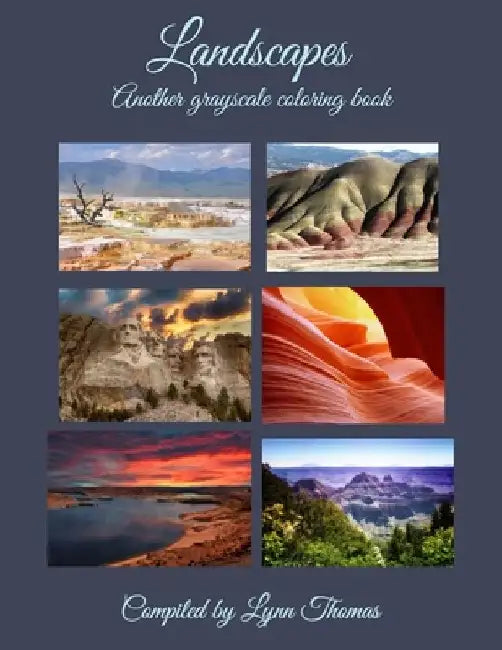 Landscapes: Another Grayscale Coloring Book by Lynn Ellen Thomas