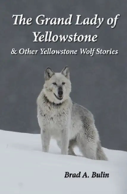 The Grand Lady of Yellowstone: & Other Yellowstone Wolf Stories by Carolyn Bulin