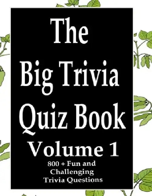 The Big Trivia Quiz Book, Volume 1: 800 Questions, Teasers, and Stumpers For When You Have Nothing But Time Paperback - 800 MORE Fun and Challenging T by Ts
